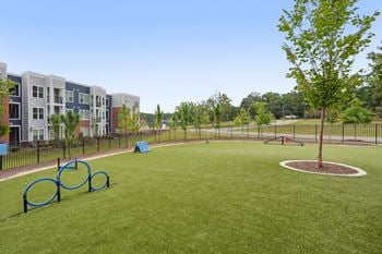 Dog park